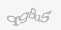 Защитный код